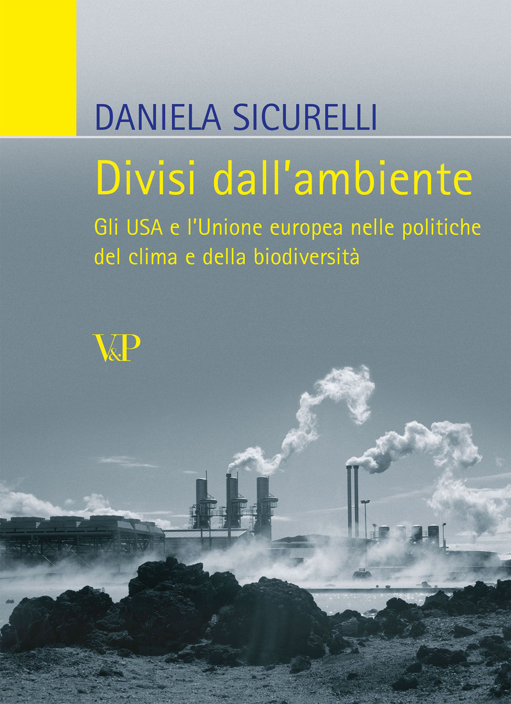 Divisi dall'ambiente. Gli USA e l'Unione europea nelle politiche del clima e della biodiversità