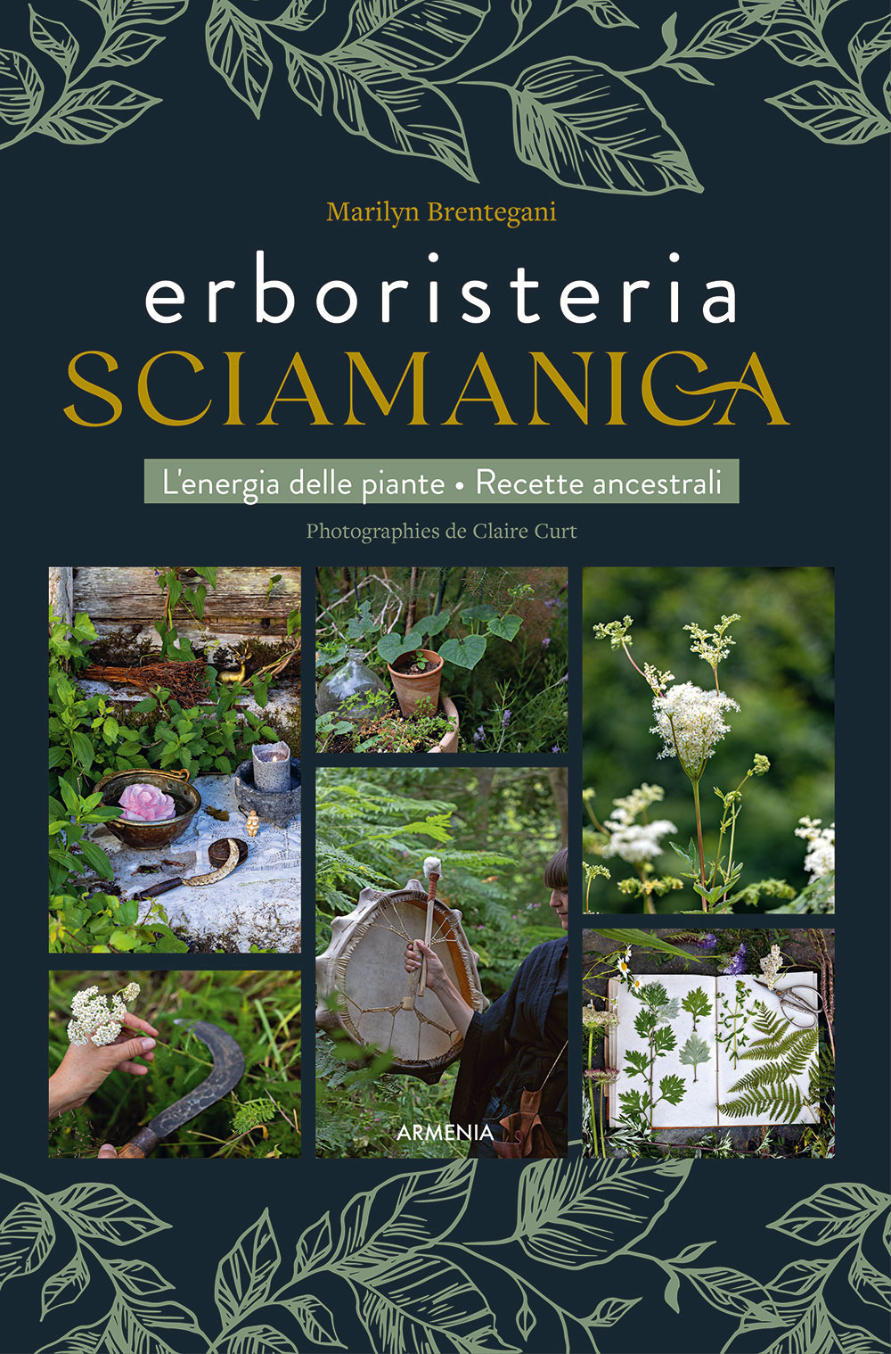 Erboristeria sciamanica. L'energia delle piante. Le ricette ancestrali