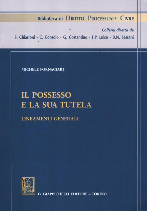 Il possesso e la sua tutela. Lineamenti generali