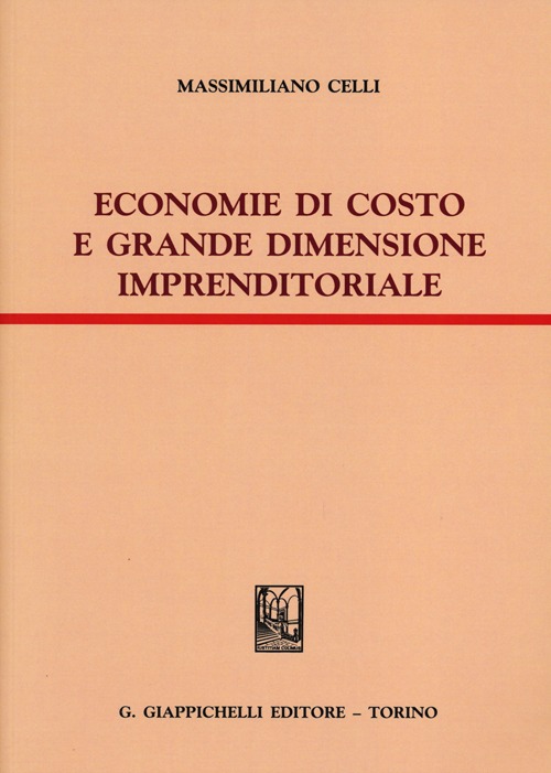 Economie di costo e grande dimensione imprenditoriale