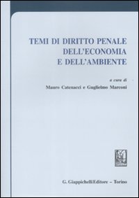 Temi di diritto penale dell'economia e dell'ambiente