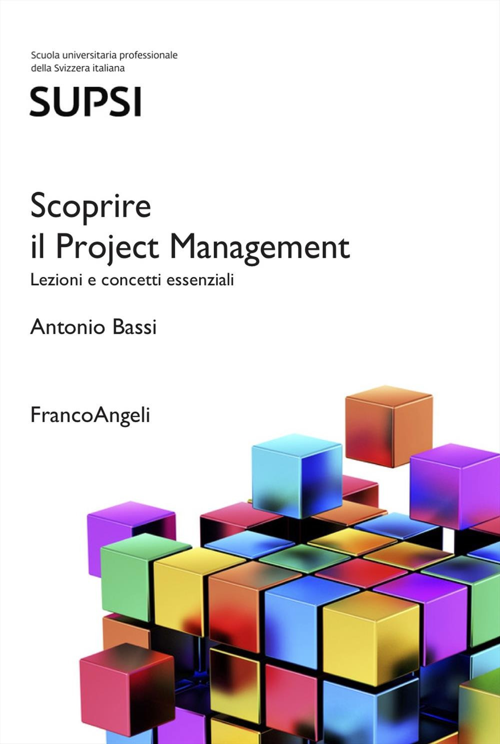 Scoprire il Project Management. Lezioni e concetti essenziali