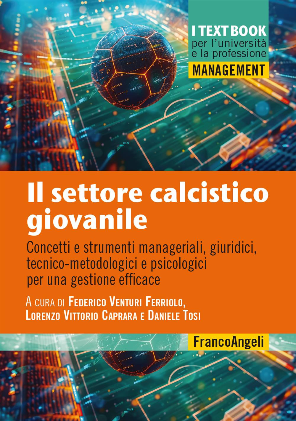 Il settore calcistico giovanile. Concetti e strumenti manageriali, giuridici, tecnico-metodologici e psicologici per una gestione efficace