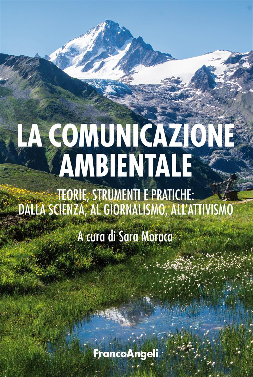 La comunicazione ambientale. Teoria, strumenti e pratiche: dalla scienza al giornalismo all'attivismo