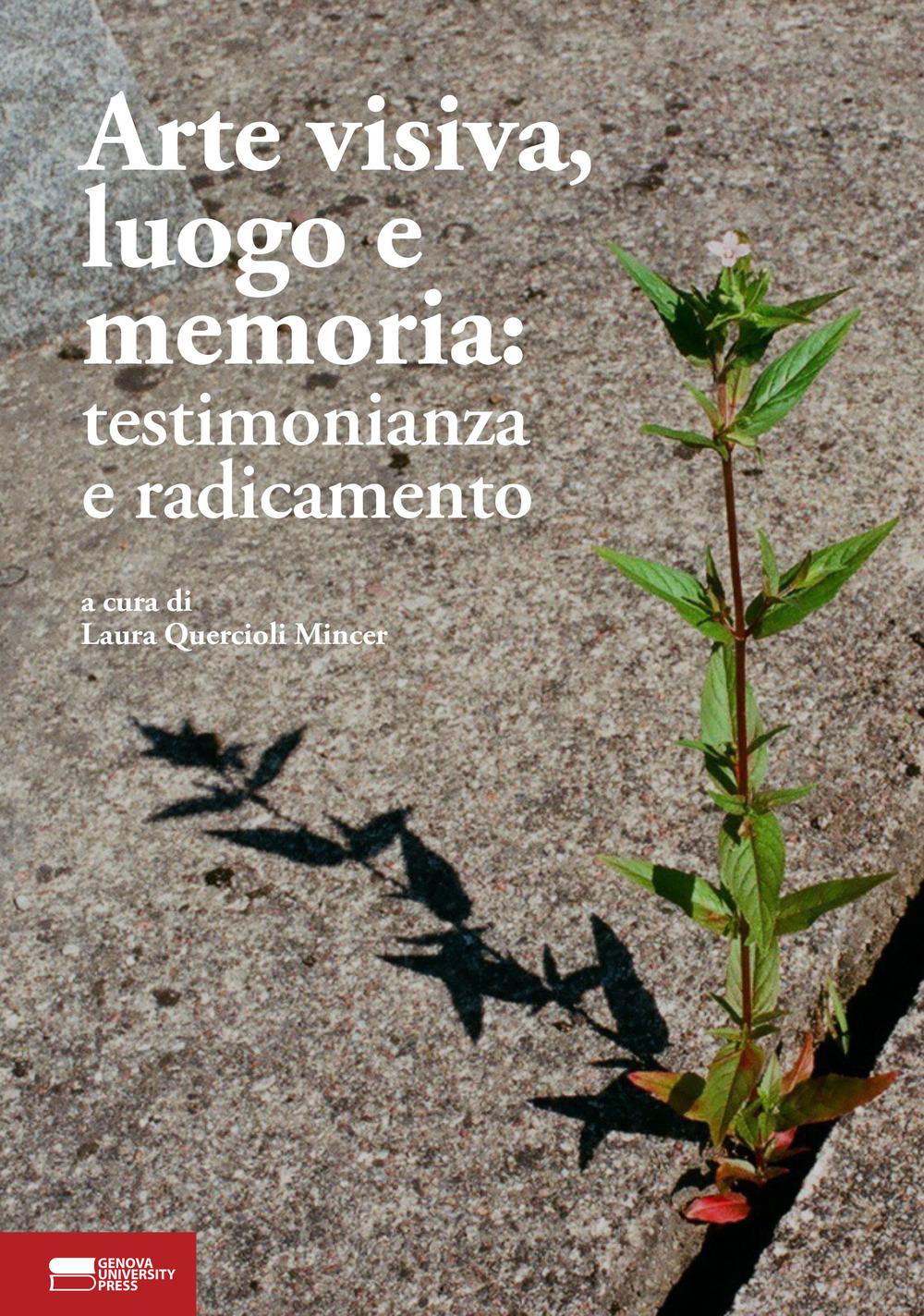 Arte visiva, luogo e memoria: testimonianza e radicamento