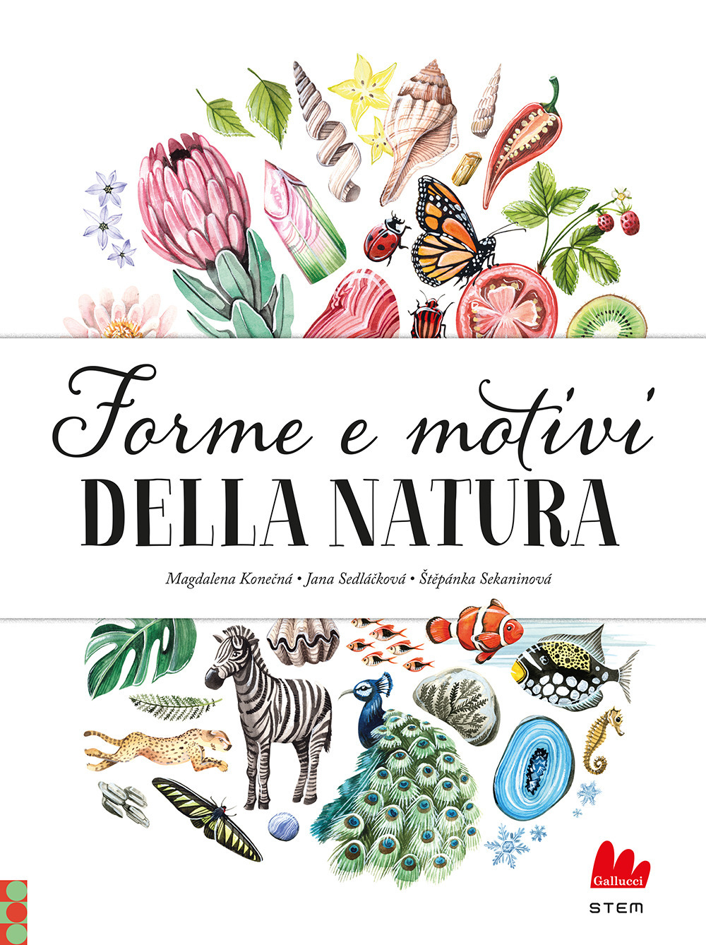 Forme e motivi della natura. Ediz. a colori