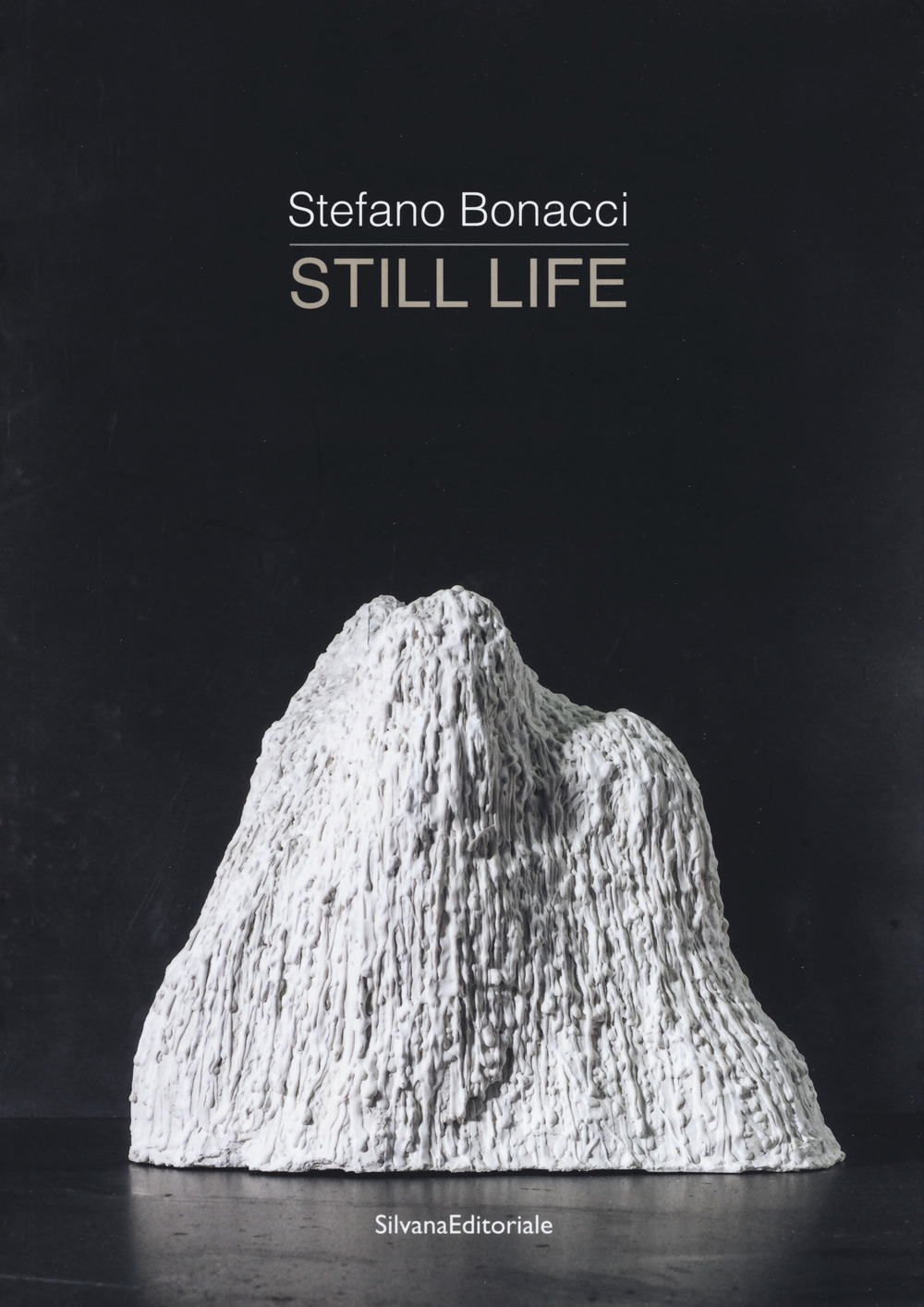 Stefano Bonacci. Still life. Catalogo della mostra (Segrate, 30 marzo-30 aprile 2019). Ediz. a colori