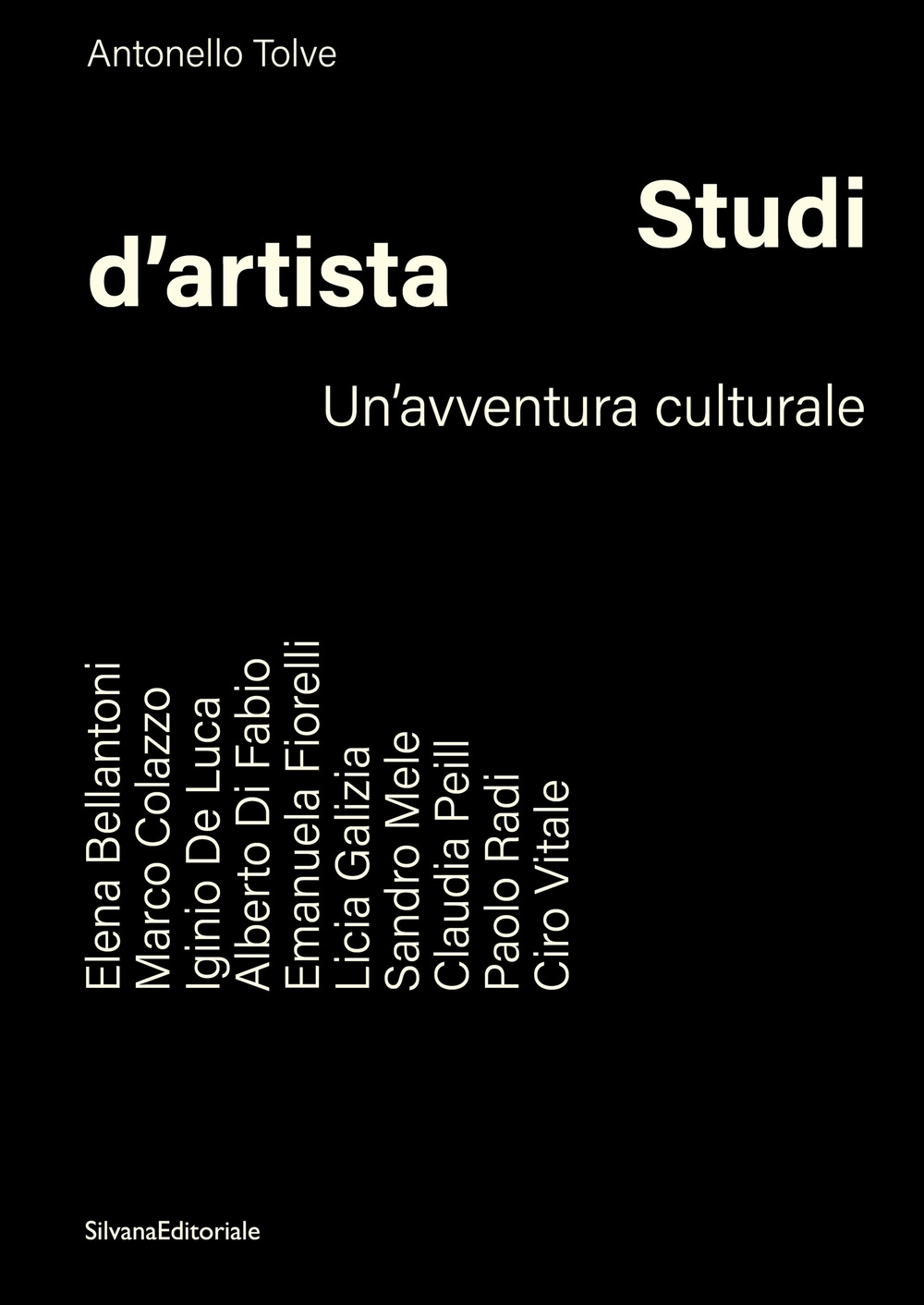 Studi d'artista. Un'avventura culturale. Ediz. illustrata