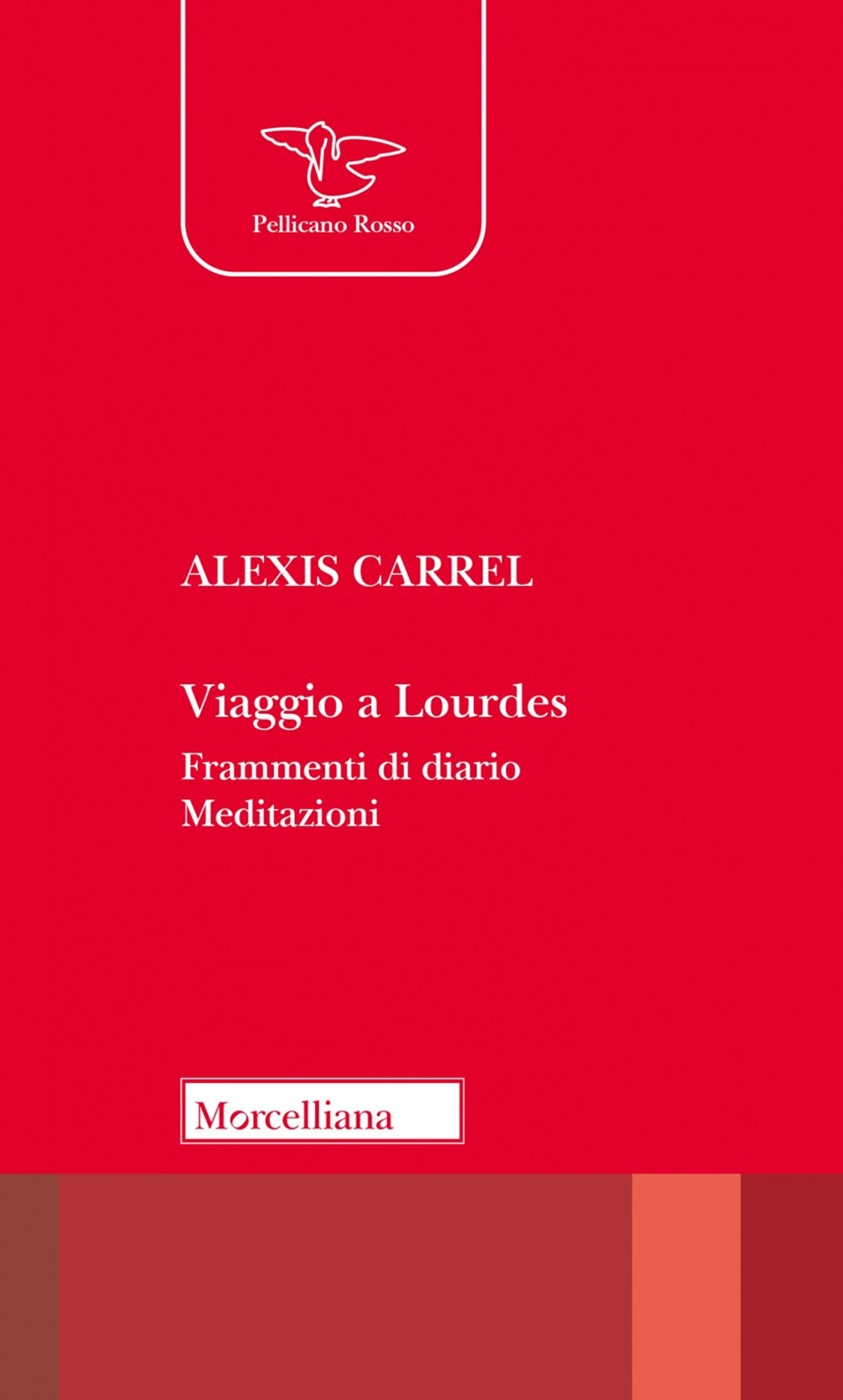 Viaggio a Lourdes. Frammenti di diario. Meditazioni. Nuova ediz.