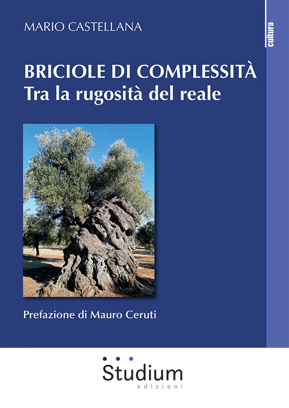 Briciole di complessità. Tra la rugosità del reale