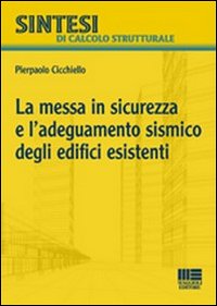 La messa in sicurezza e l'adeguamento sismico degli edifici esistenti