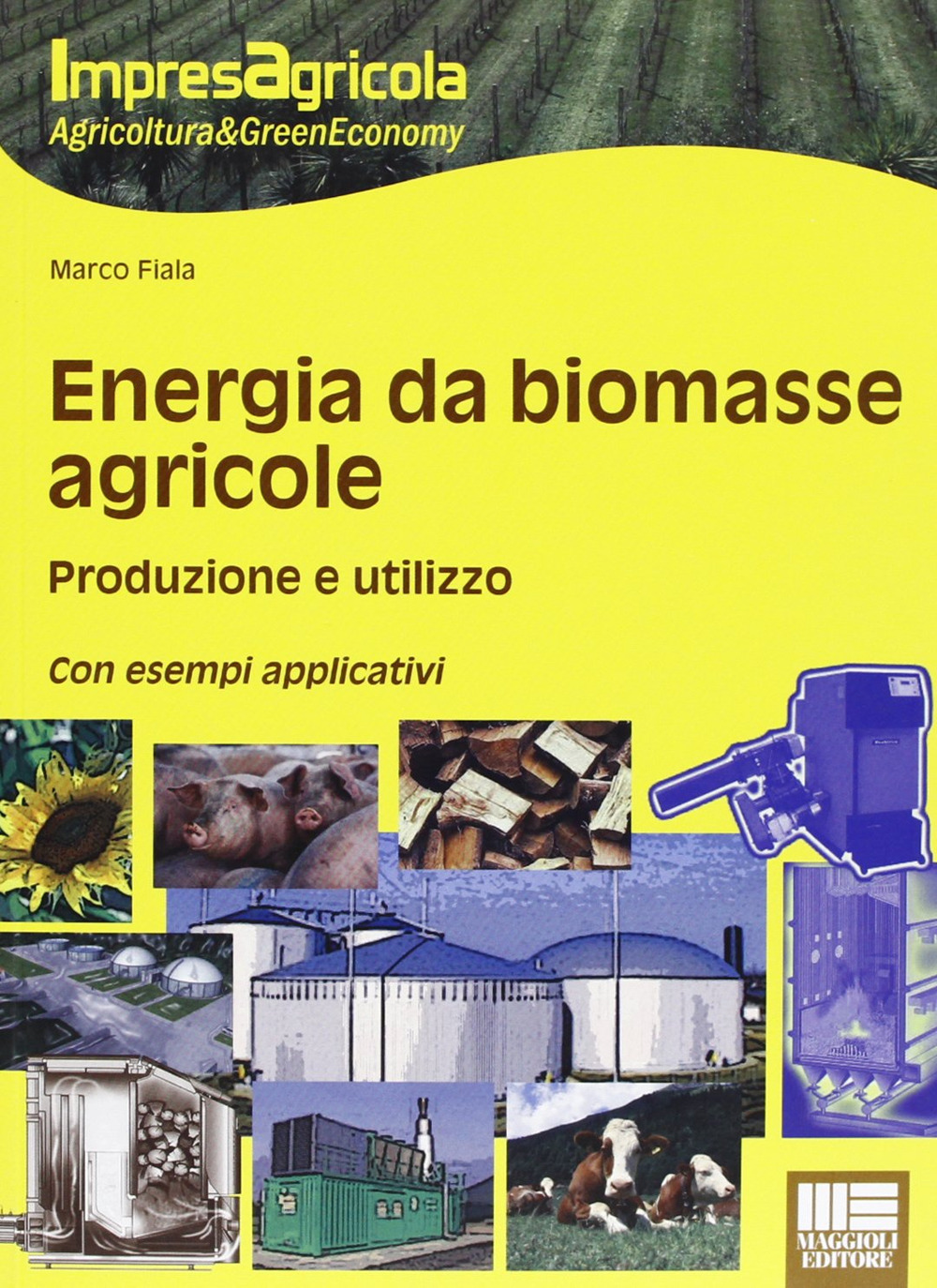 Energia da biomasse agricole. Produzione e utilizzo. Con esempi applicativi