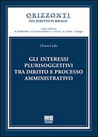 Gli interessi plurisoggettivi tra diritto e processo amministrativo