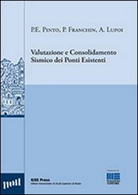 Valutazione e consolidamento sismico dei ponti esistenti