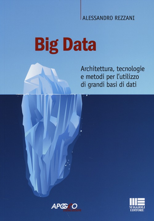 Big data. Architettura, tecnologie e metodi per l'utilizzo di grandi basi di dati