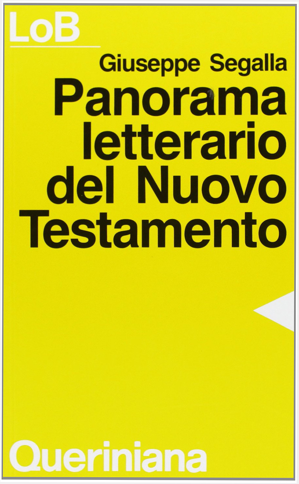 Panorama letterario del Nuovo Testamento