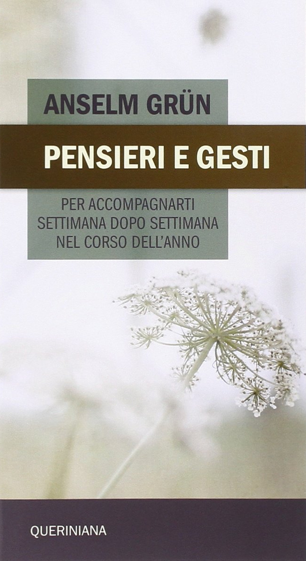 Pensieri e gesti per accompagnarti settimana dopo settimana nel corso dell'anno