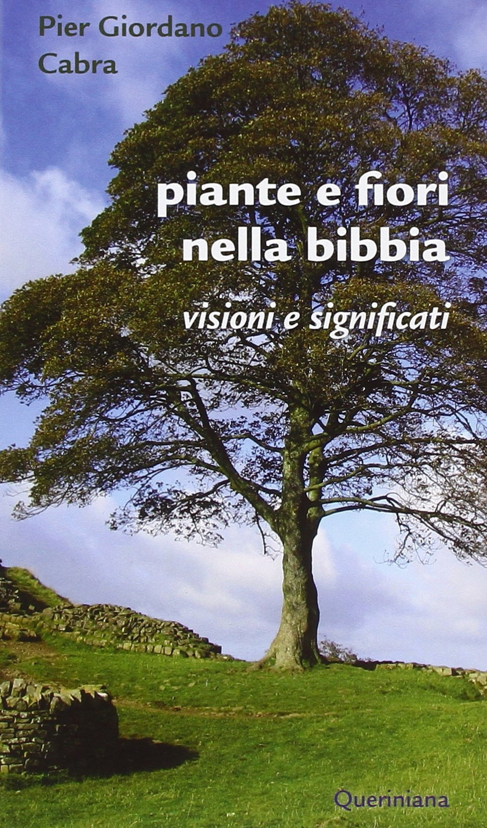 Piante e fiori nella Bibbia. Visioni e significati