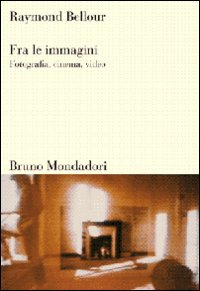 Fra le immagini. Fotografia, cinema, video. Ediz. illustrata