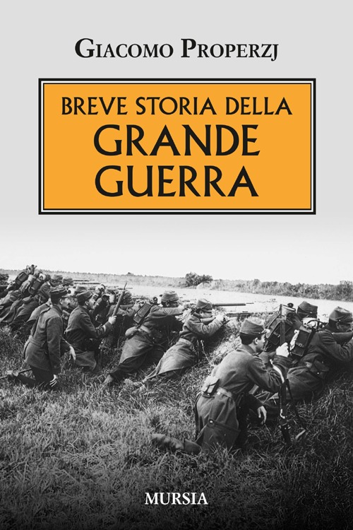 Breve storia della grande guerra