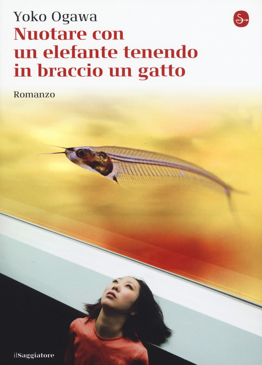 Nuotare con un elefante tenendo in braccio un gatto