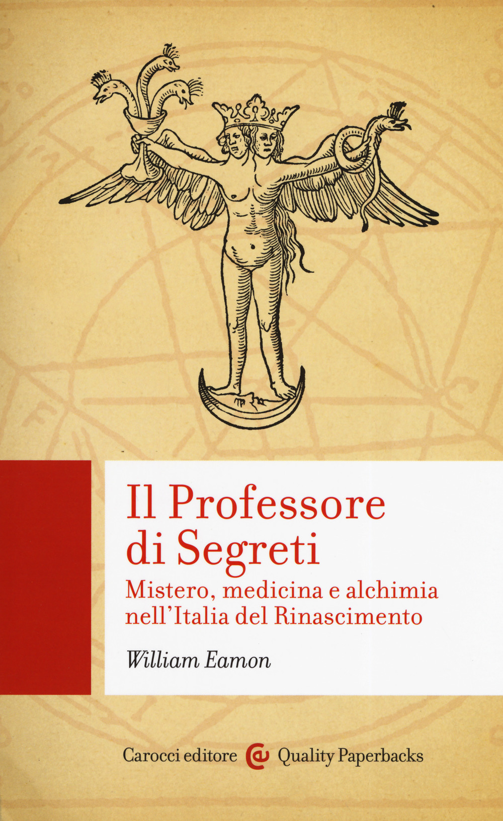 Il professore di segreti. Mistero, medicina e alchimia nell'Italia del Rinascimento