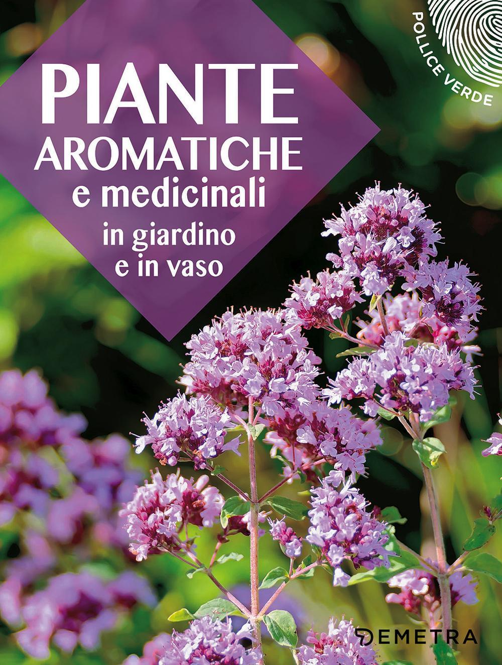 Piante aromatiche e medicinali in giardino e in vaso