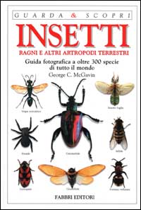 Insetti, ragni e altri artropodi terrestri. Guida fotografica a oltre 300 specie di tutto il mondo. Ediz. illustrata