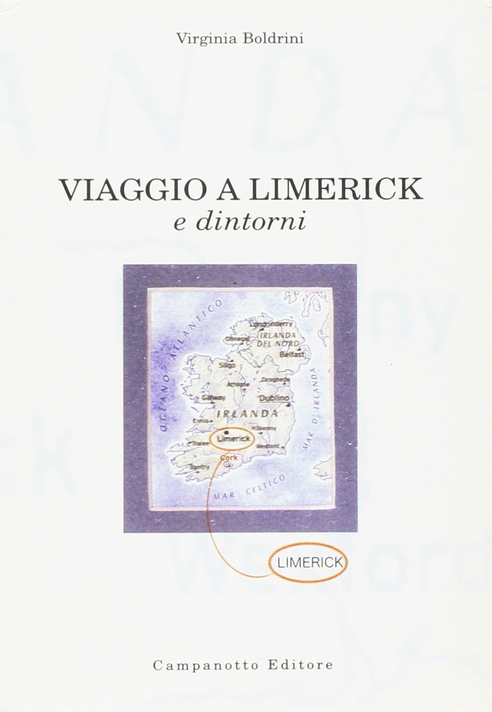 Viaggio a Limerick e dintorni