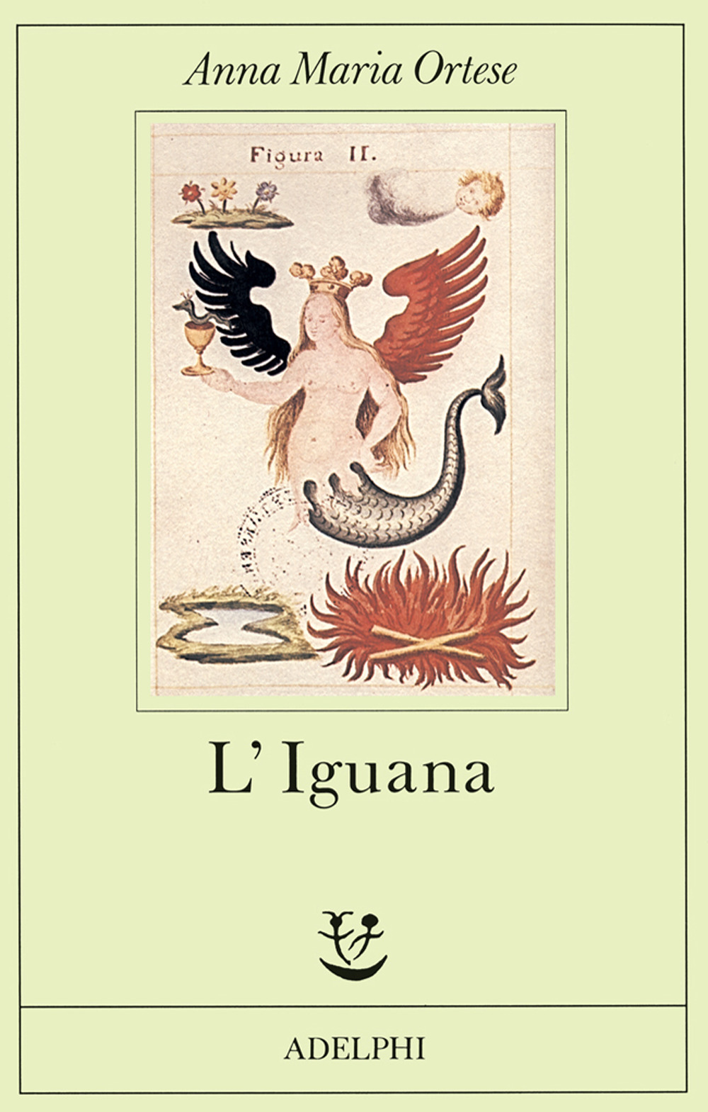 L'iguana