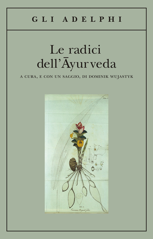 Le radici dell'ayurveda