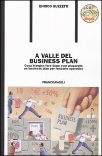 A valle del business plan. Cosa bisogna fare dopo aver preparato un business plan per renderlo operativo. Con CD-ROM