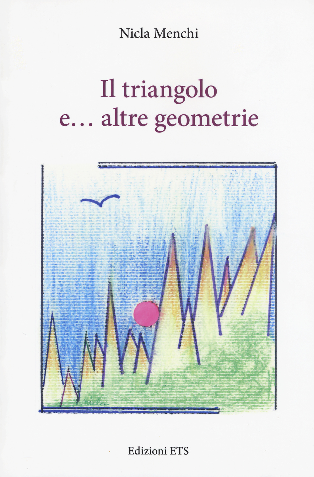 Il triangolo e... altre geometrie