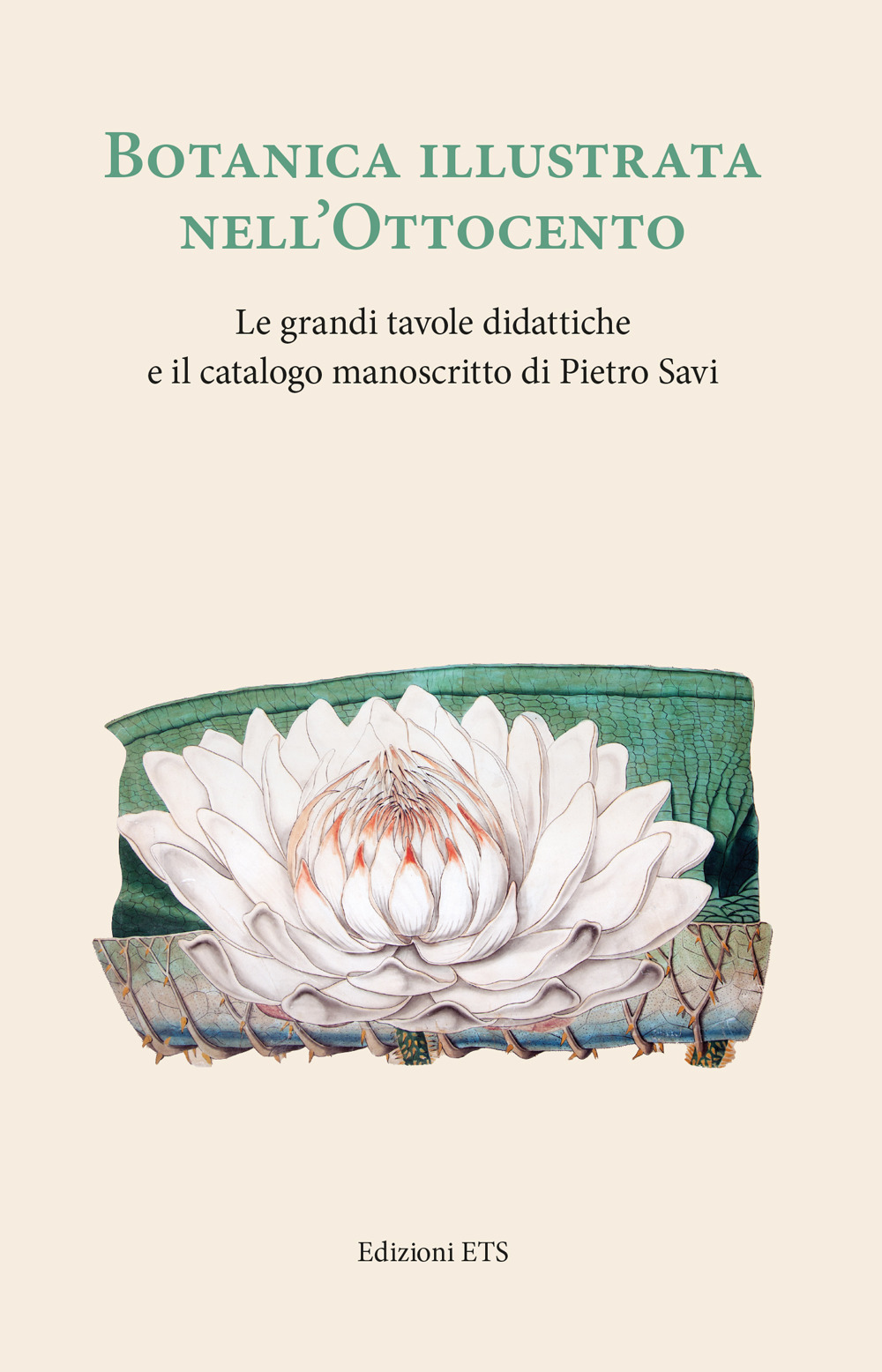 Botanica illustrata nell'Ottocento italiano. Le grandi tavole didattiche e il catalogo manoscritto di Pietro Savi