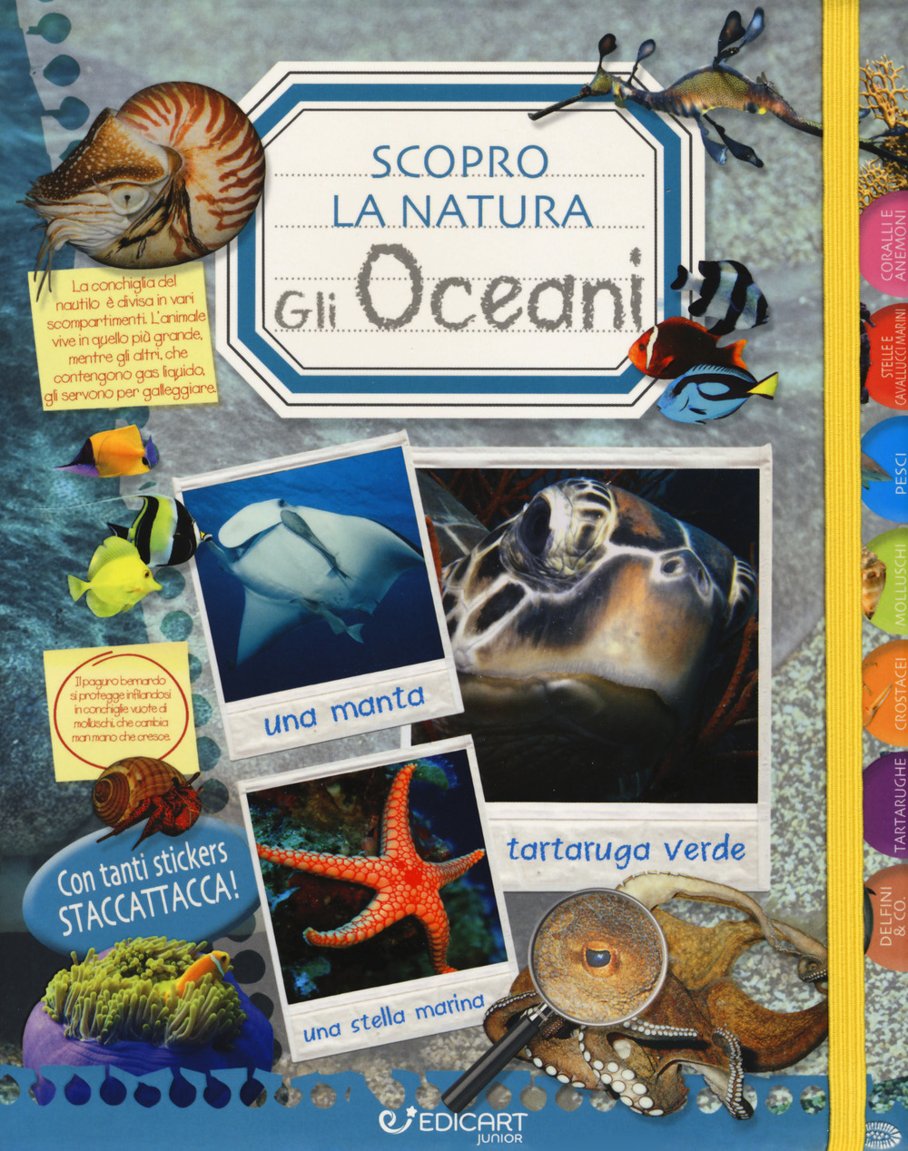 Gli oceani. Scopro la natura. Con adesivi