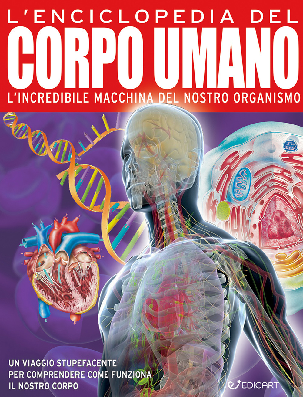 L'enciclopedia del corpo umano