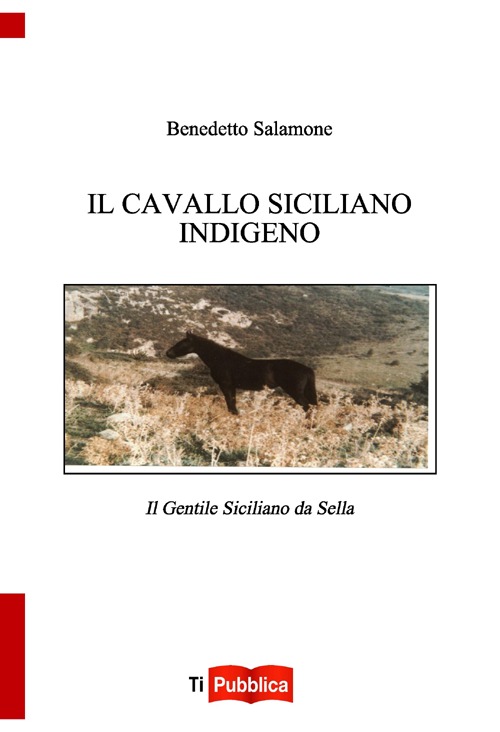 Il cavallo indigeno siciliano. Il gentile siciliano da sella