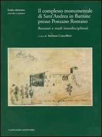 Il complesso monumentale di Sant'Andrea in Flumine presso Ponzano Romano. Restauri e studi interdisciplinari. Ediz. illustrata. Con CD-ROM