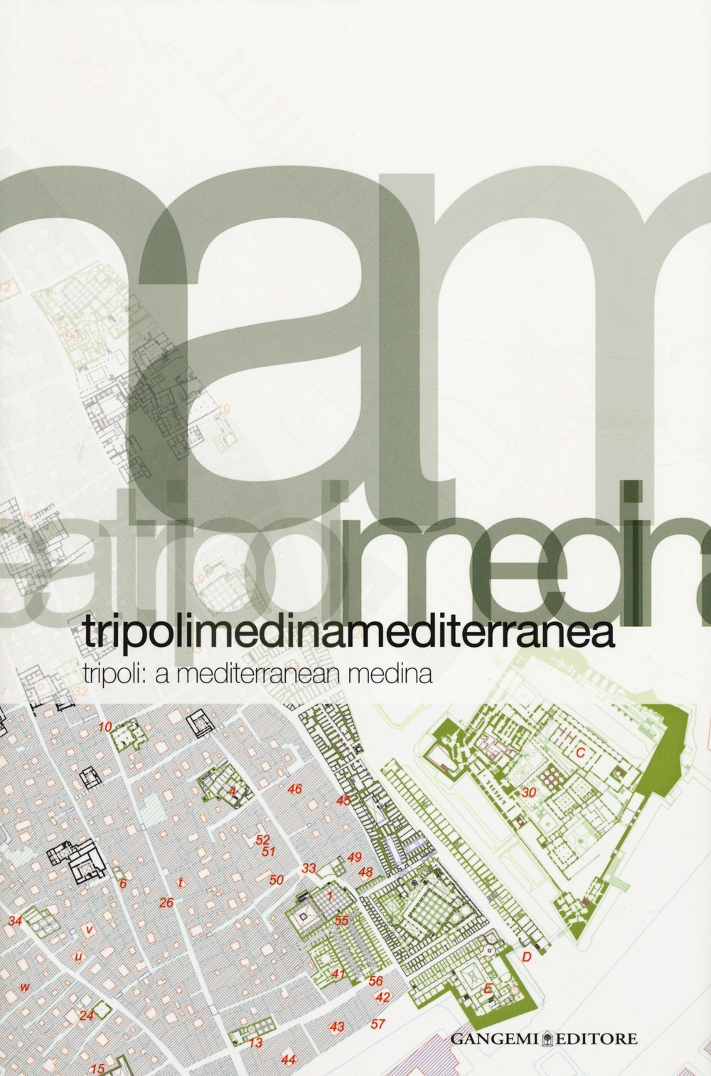 Tripoli. Medina Mediterranea-Tripoli. A Mediterranean Medina. Ediz. bilingue