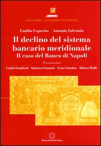 Il declino del sistema bancario meridionale. Il caso del Banco di Napoli