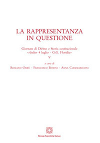 La rappresentanza in questione 