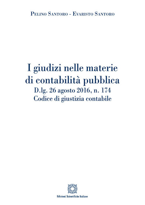 I giudizi nelle materie di contabilità pubblica