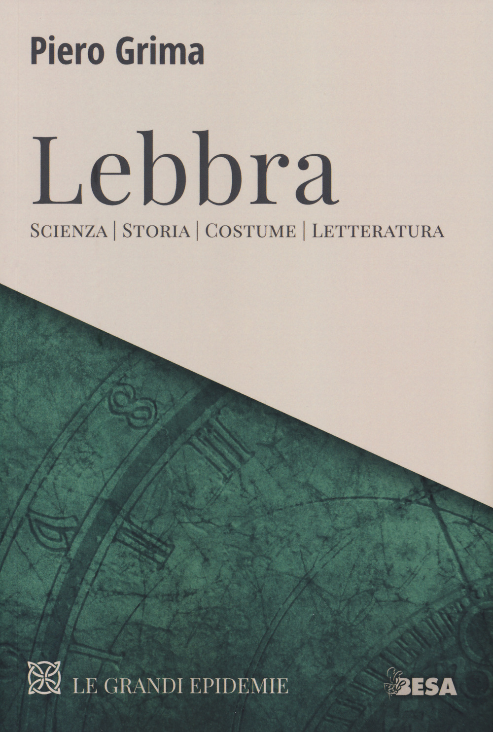 Lebbra. Scienza, storia, costume, letteratura