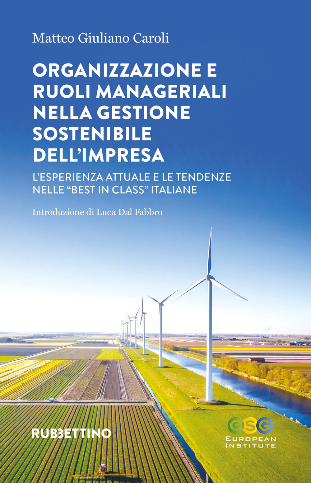 Organizzazione e ruoli manageriali nella gestione sostenibile dell'impresa. L'esperienza attuale e le tendenze nelle «best in class» italiane