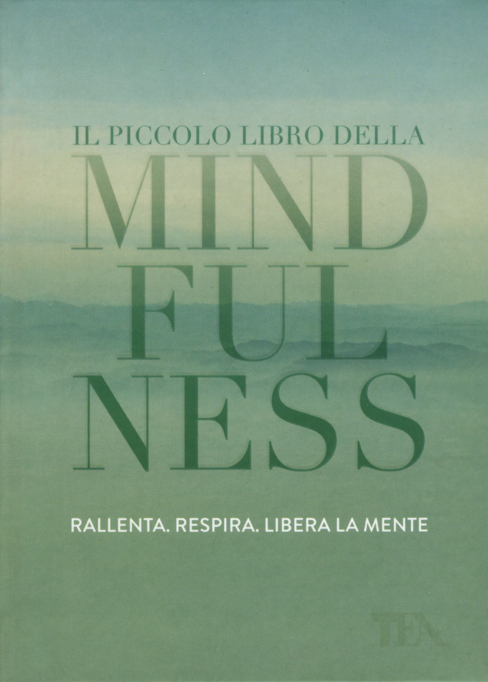 Il piccolo libro della mindfulness