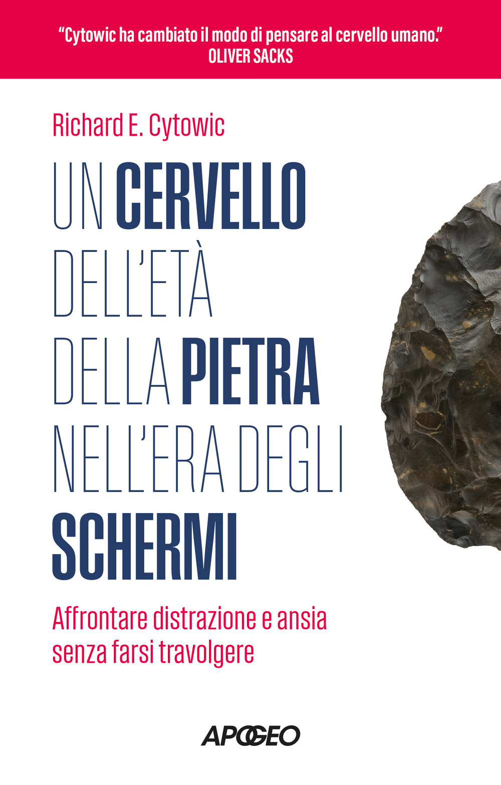 Un cervello dell'età della pietra nell'era degli schermi. Affrontare distrazione e ansia senza farsi travolgere