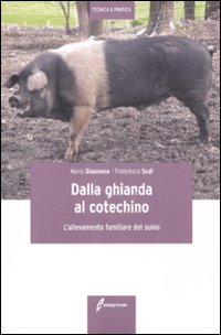 Dalla ghianda al cotechino. L'allevamento familiare del suino