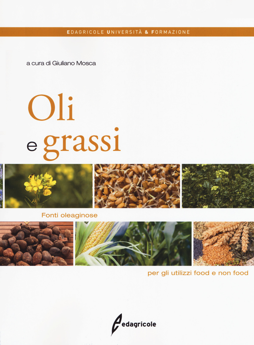 Oli e grassi. Fonti oleaginose per gli utilizzi food e non food