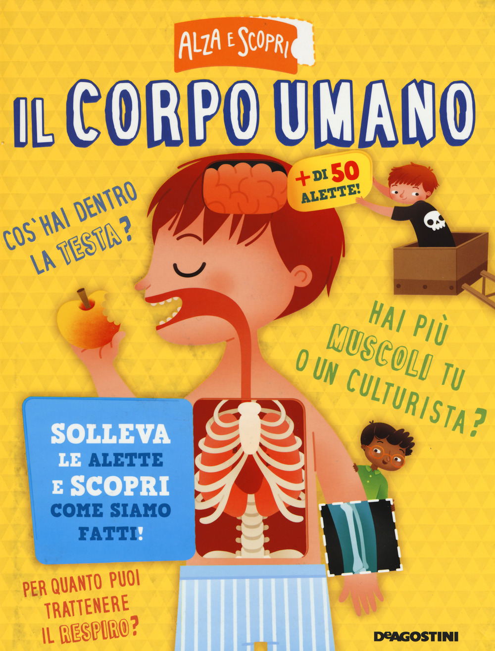 Il corpo umano. Ediz. a colori