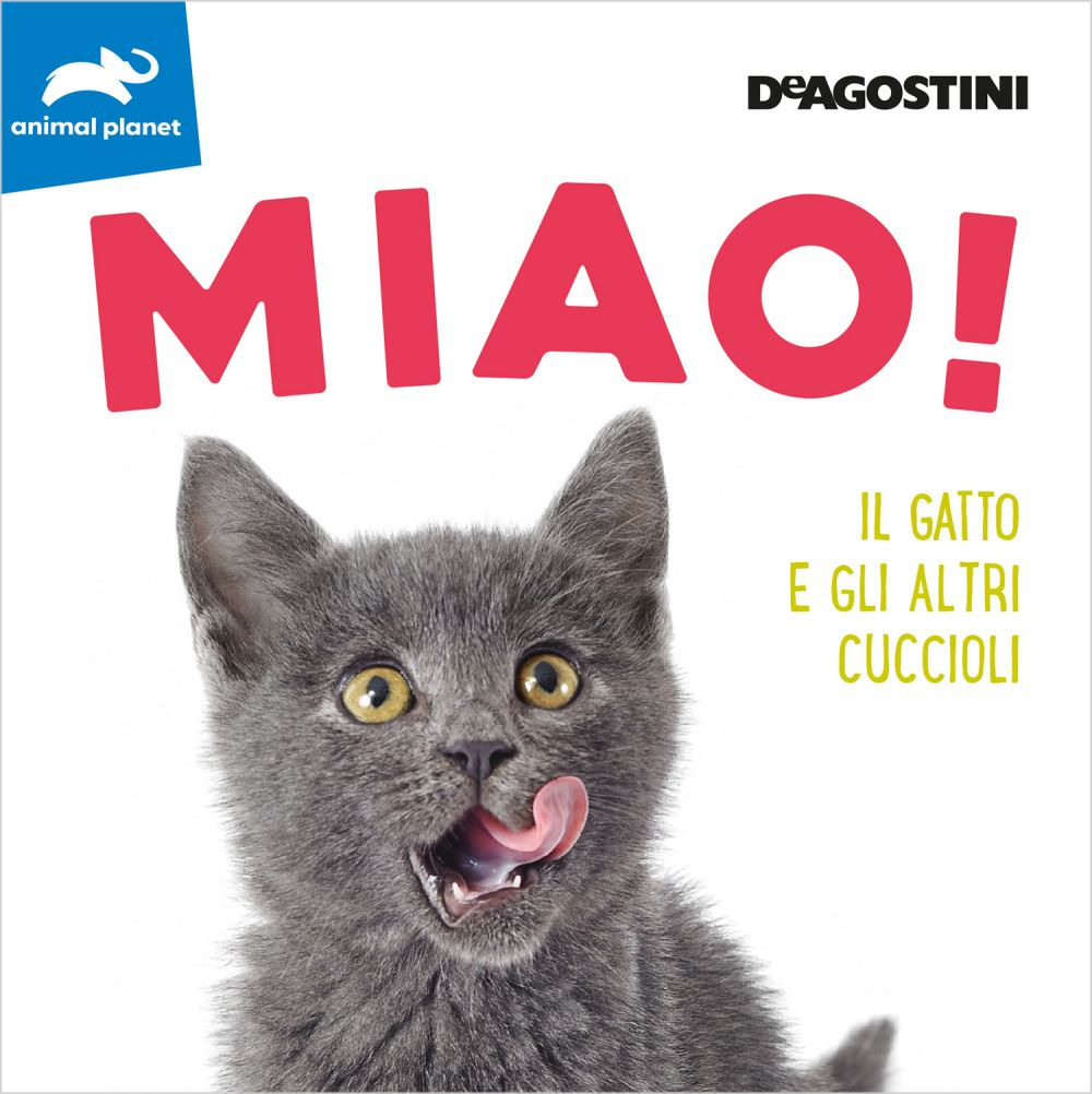 Miao! Il gatto e gli altri cuccioli. Ediz. illustrata